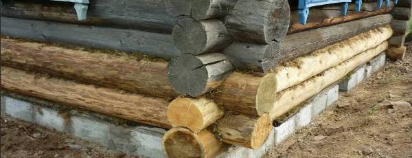 срубы в Полоцке и Новополоцке