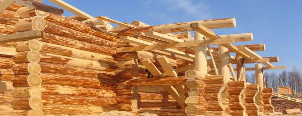 срубы в Полоцке и Новополоцке