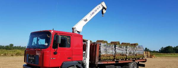 услуги спецтехники Полоцк и Новополоцк