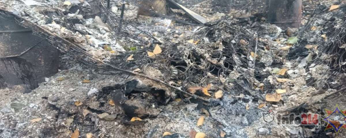 Сгорела в лесу