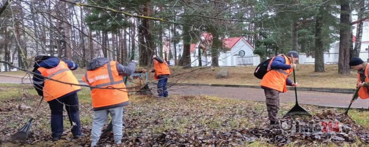 Листья Новополоцк