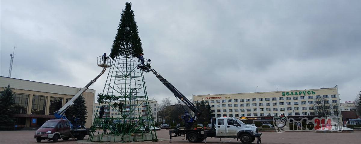 Елка новополоцк