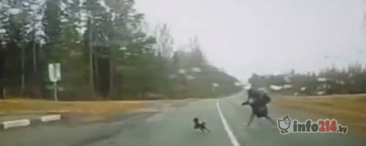 дтп под россонами