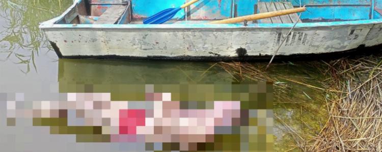 в Полоцке утонул подросток