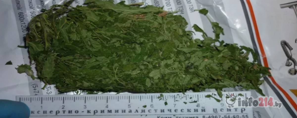 В Полоцке задержан наркоторговец