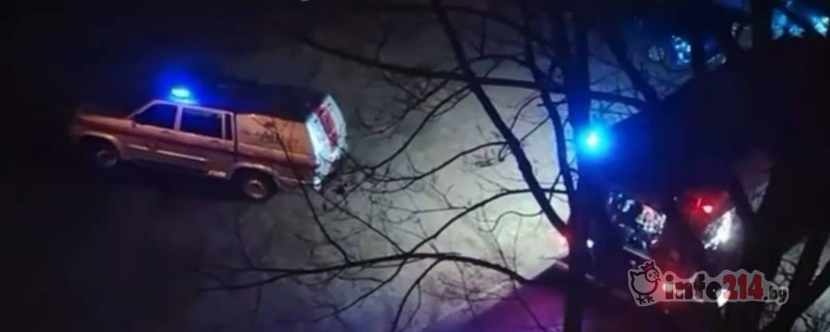 пожар в боровухе