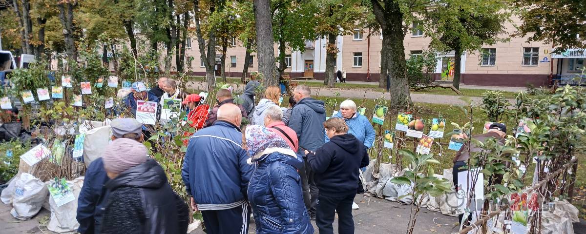 ярмарка в полоцке осень