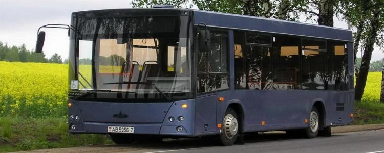 Автобусы в Полоцке и Новополоцке