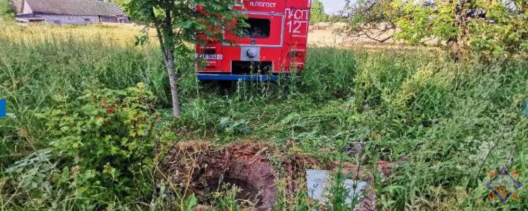 Сельчанин захотел поесть ягод на заброшенном участке.
