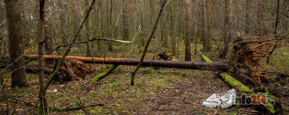 Полоцкий лесхоз приглашает 