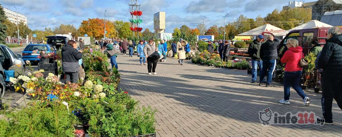 Более 70 продавцов приняли участие