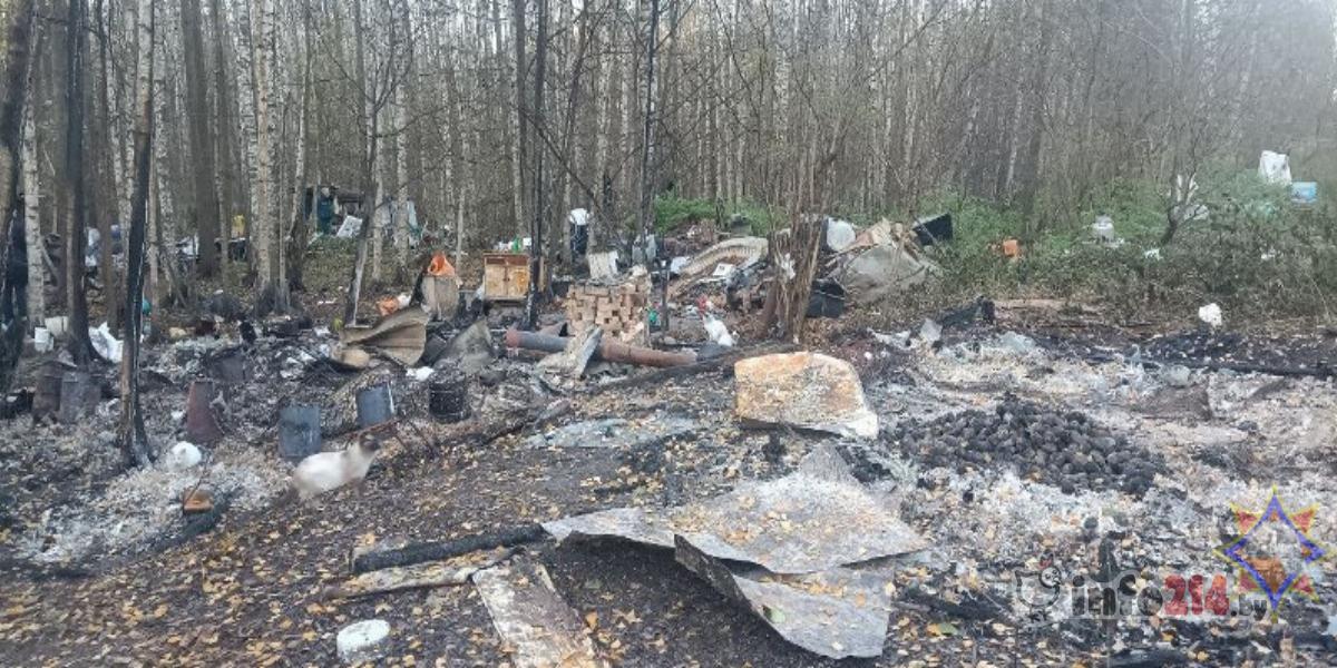 Женщина организовала лесное поселение