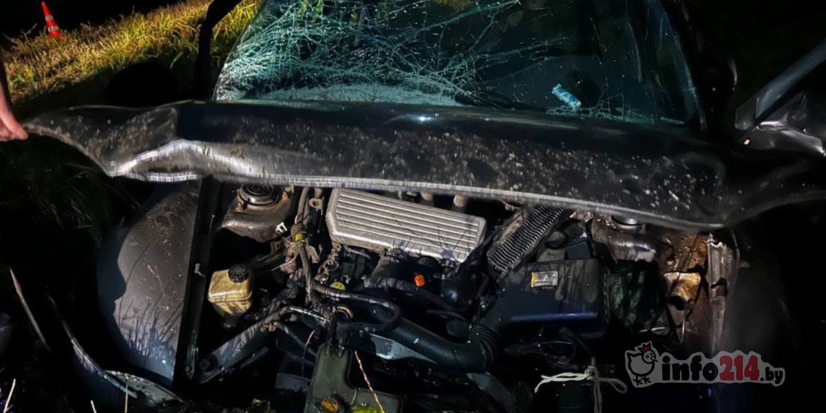 От удара в пень водитель скончался на месте