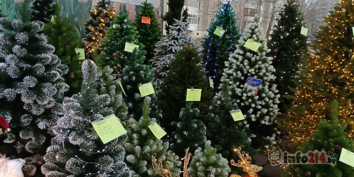 Живые ели начнут продавать с 18 декабря