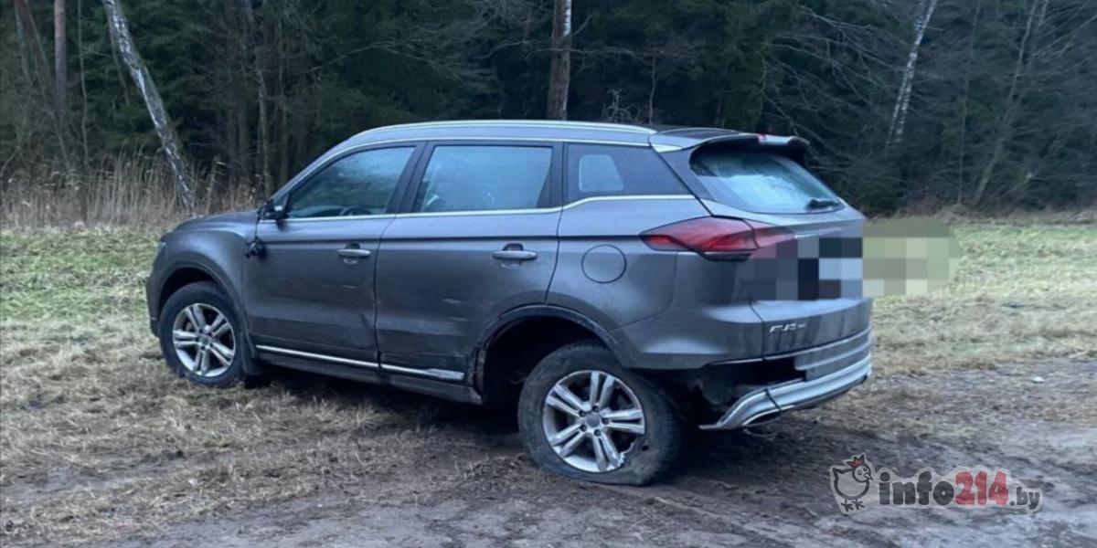 Geely получил касательный удар