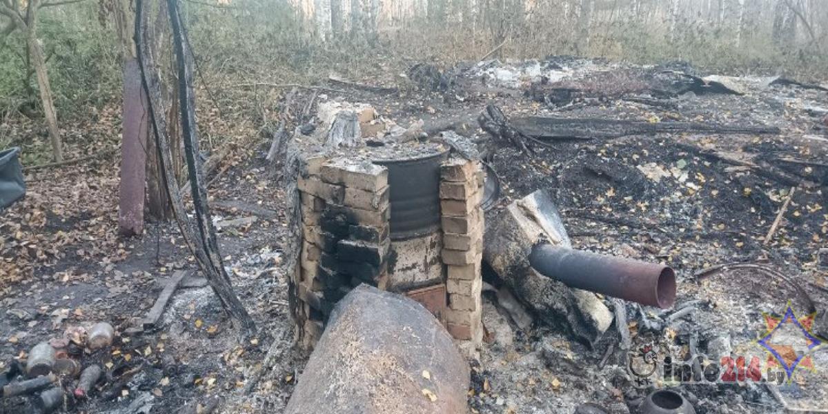 труп человека возле деревни Лапяны Браславского района