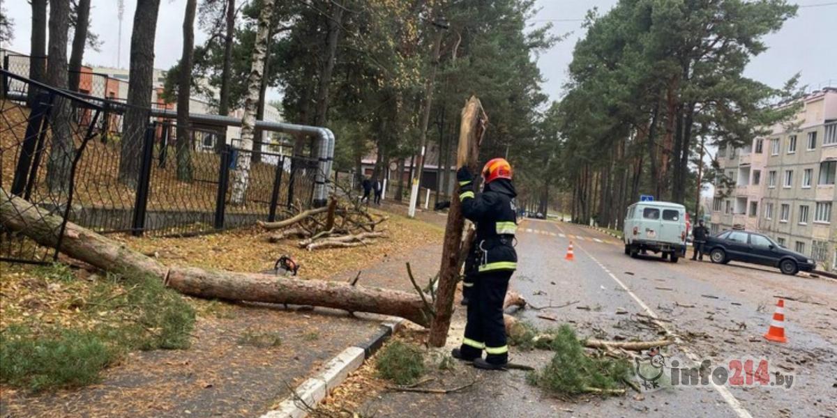 непогода в полоцке