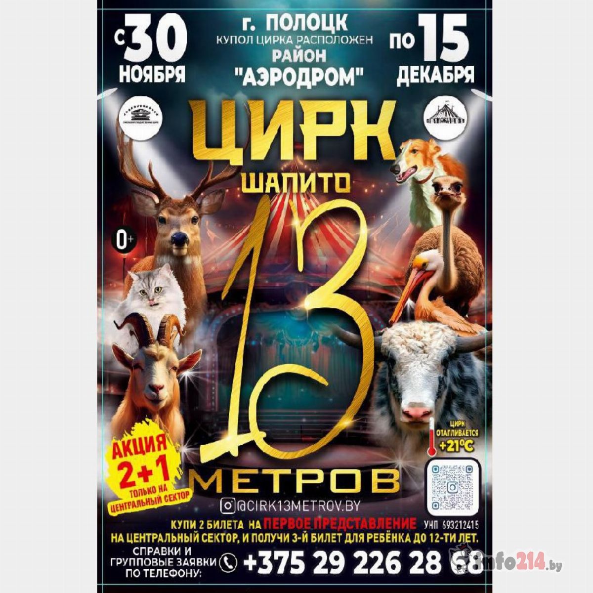 Цирк в Полоцке Аэродром