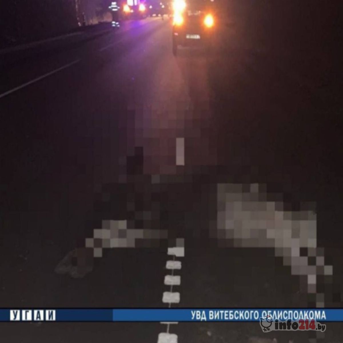 Сбили лося на трассе